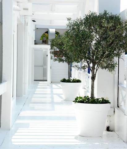 Garden Beach Hotel
