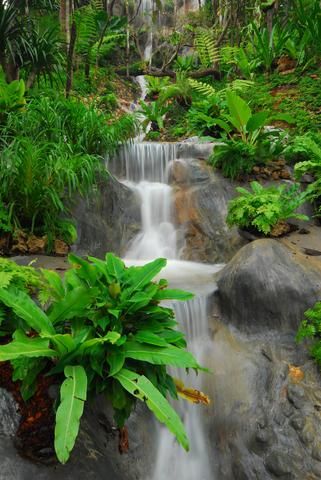 Outdoor Pictures 23