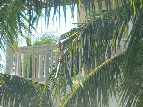 Outdoor Pictures 17