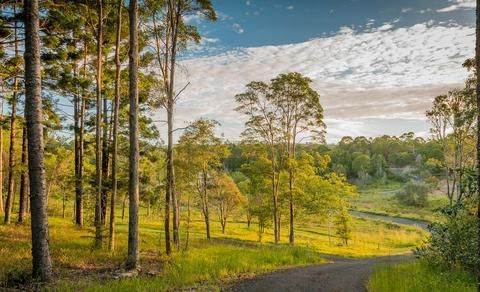 Outdoor Pictures 21