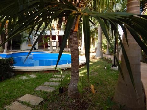 Outdoor Pictures 19