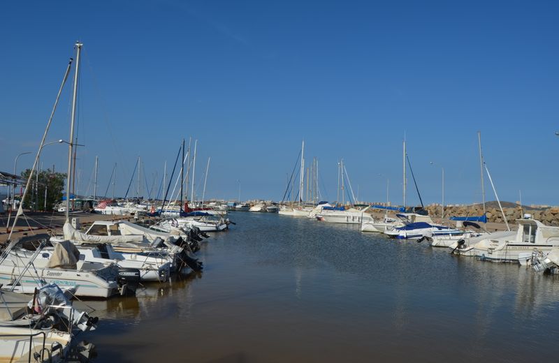Albatros Playa 2 - 2808 - RCR 38778