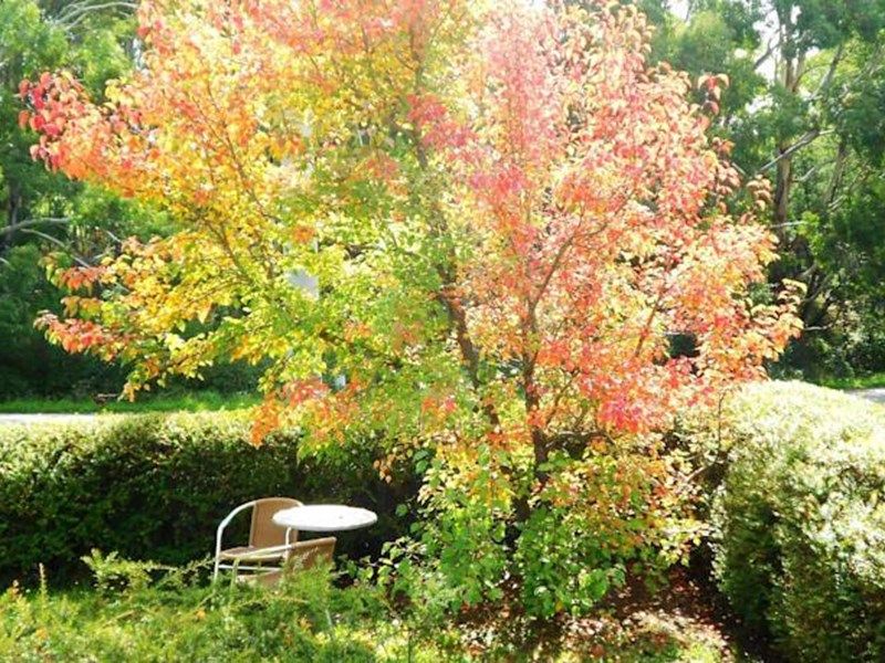 Outdoor Pictures 1