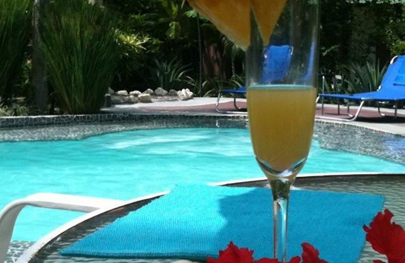La Tropicale