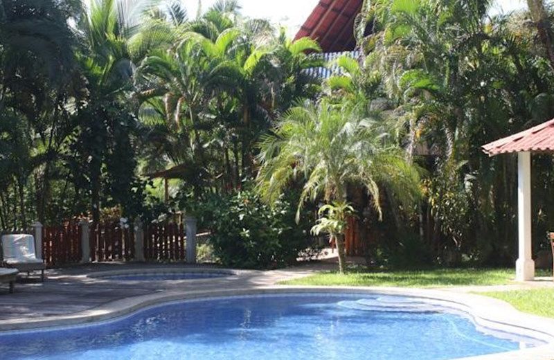 El Sueno Tropical