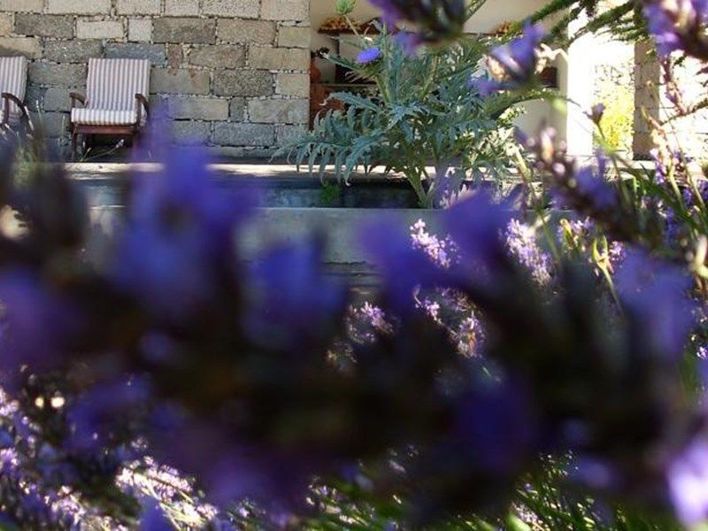 Outdoor Pictures 15