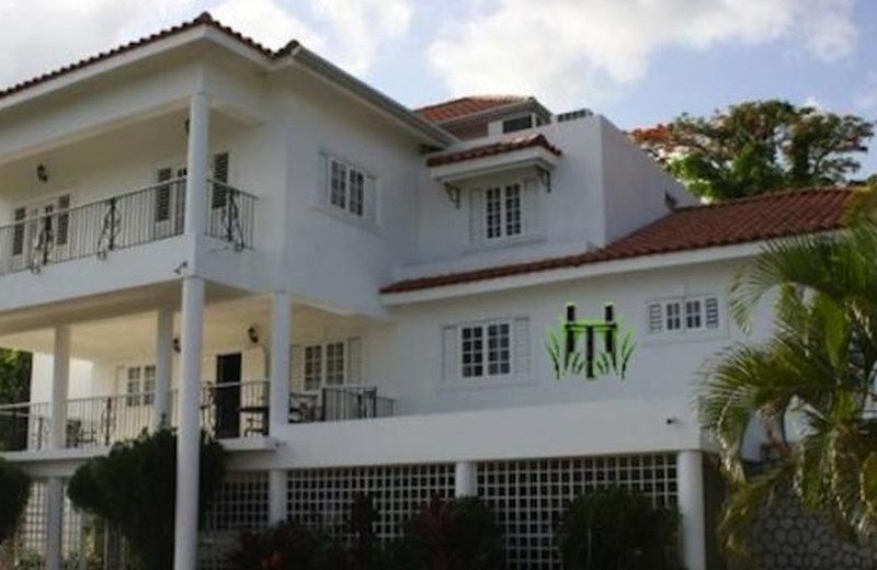Hill Top Kingston Jamaica Bed & Breakfast