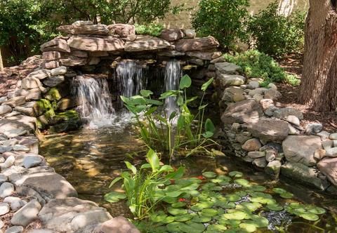 Outdoor Pictures 22