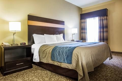 Comfort Inn & Suites at Stone Mountain
