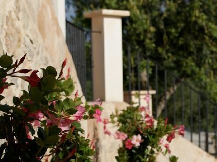 Outdoor Pictures 17