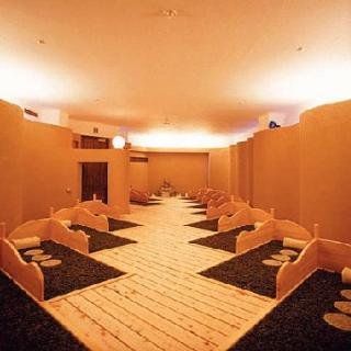 Toyama Kanko Hotel (Ryokan)