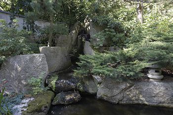 Outdoor Pictures 21