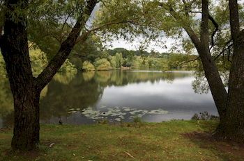 Outdoor Pictures 23