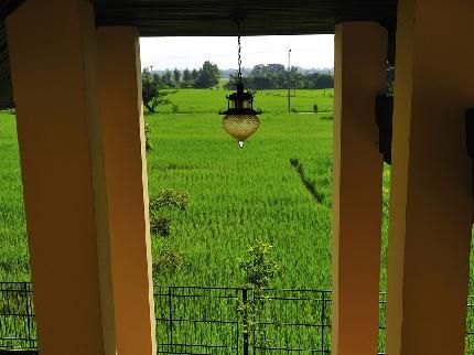 Outdoor Pictures 20