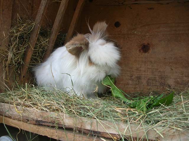 Outdoor Pictures 9