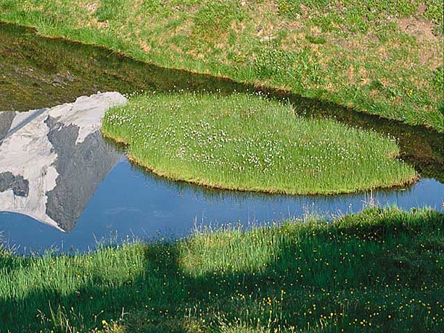 Outdoor Pictures 17
