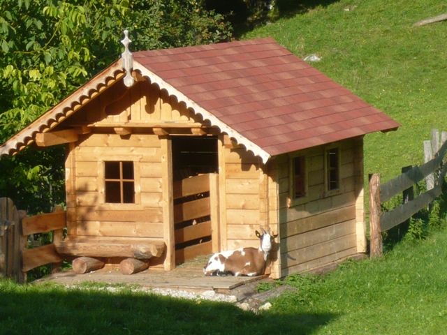 Outdoor Pictures 19