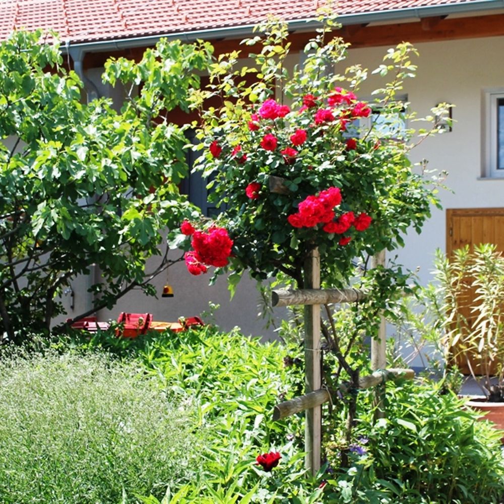 Outdoor Pictures 22