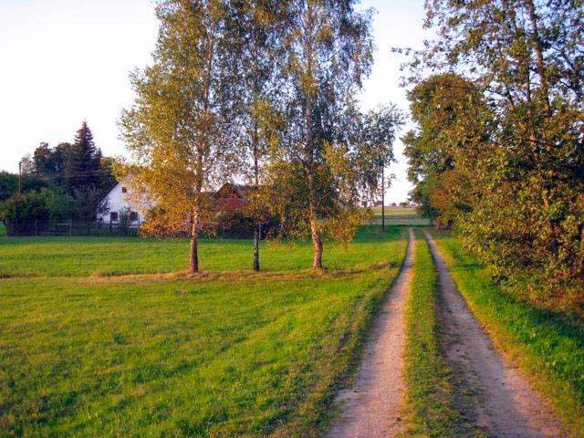 Outdoor Pictures 21