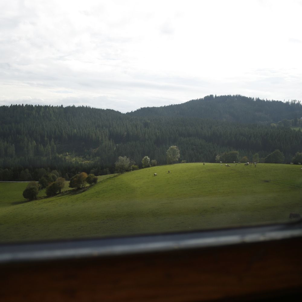Outdoor Pictures 21