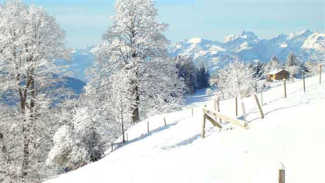 Outdoor Pictures 23