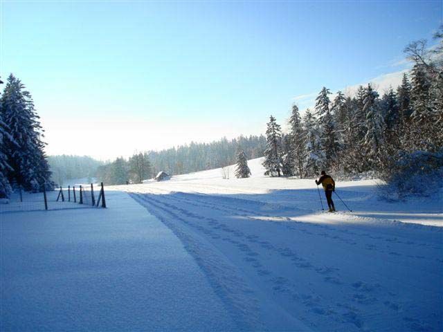 Outdoor Pictures 22