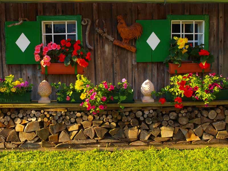 Outdoor Pictures 9