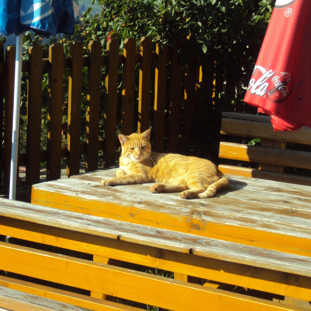 Outdoor Pictures 1