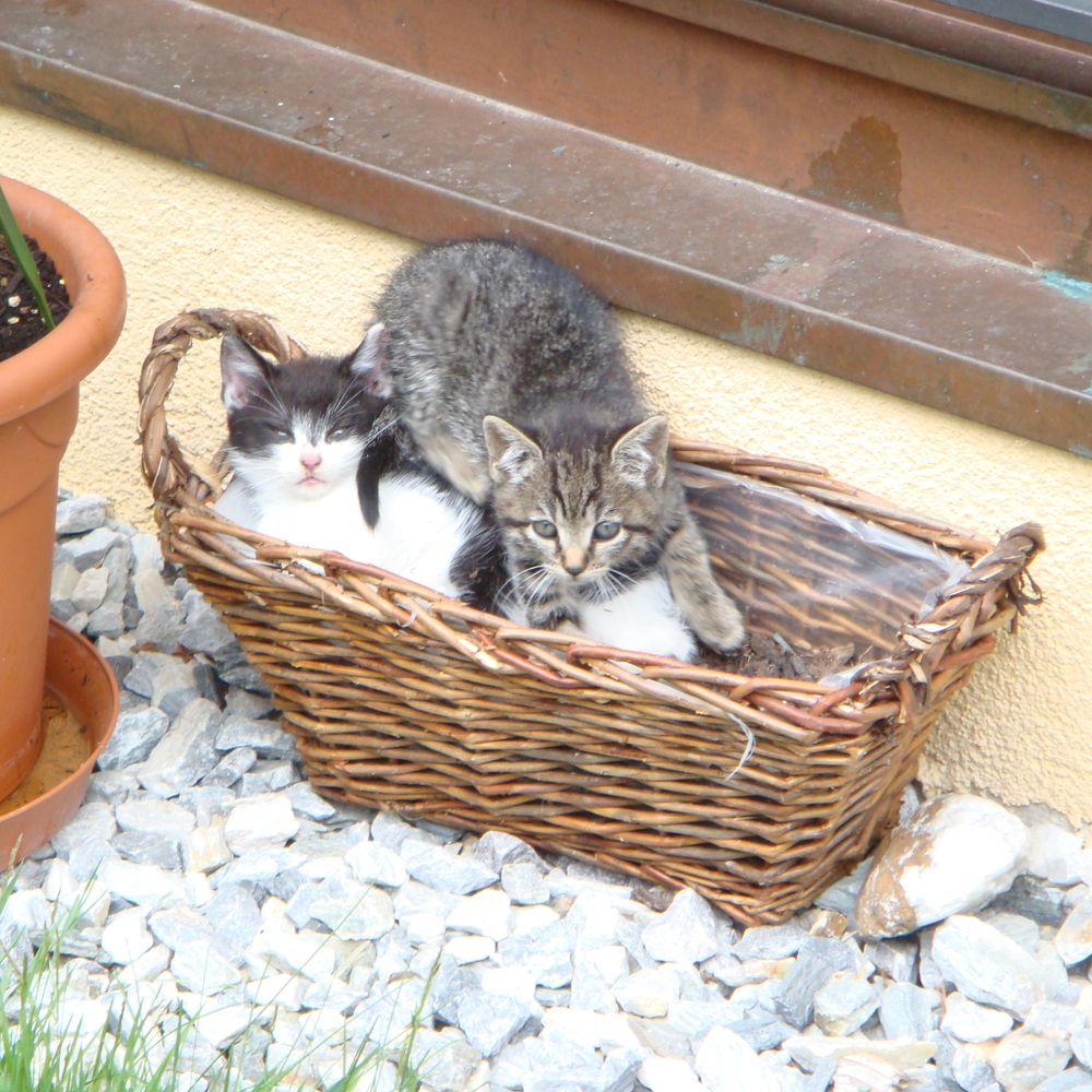 Outdoor Pictures 20