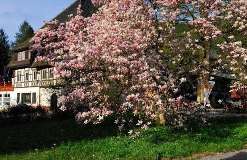 SCHWARZWALD-GASTHOF HOTEL LINDE