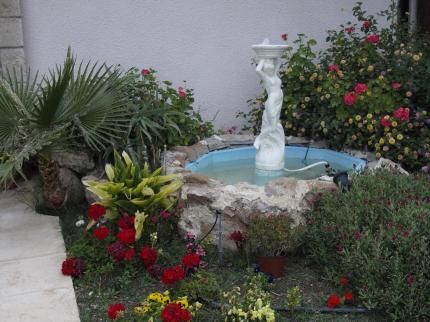 Outdoor Pictures 20