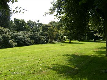 Outdoor Pictures 17