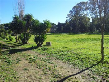 Outdoor Pictures 22
