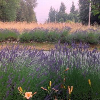 Outdoor Pictures 22