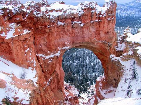Outdoor Pictures 19