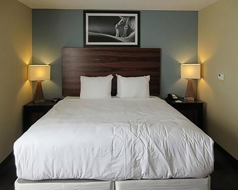 MainStay Suites Cotulla