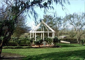 Outdoor Pictures 13