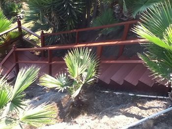 Outdoor Pictures 12