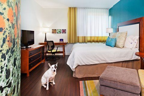 Hotel Indigo Asheville Downtown, an IHG Hotel