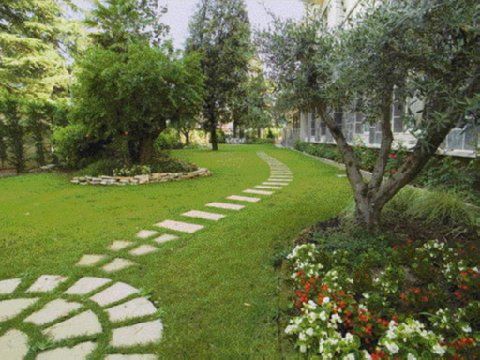 Outdoor Pictures 23