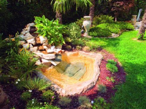 Outdoor Pictures 24
