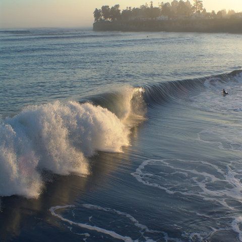 Ocean Pacific Lodge