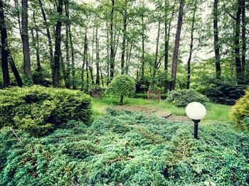 Outdoor Pictures 23