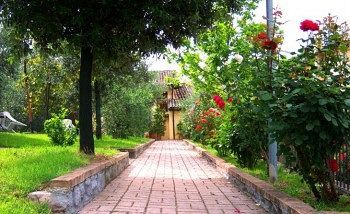 Outdoor Pictures 18