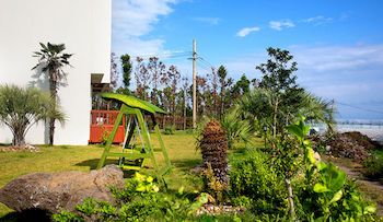 Outdoor Pictures 24