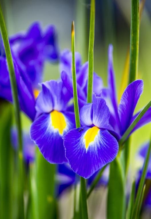 Outdoor Pictures 16