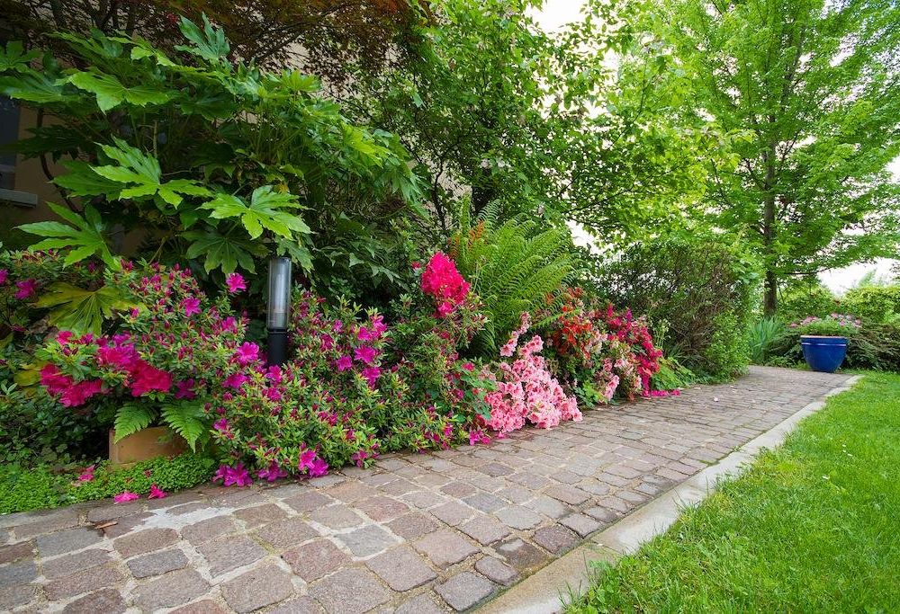 Outdoor Pictures 22