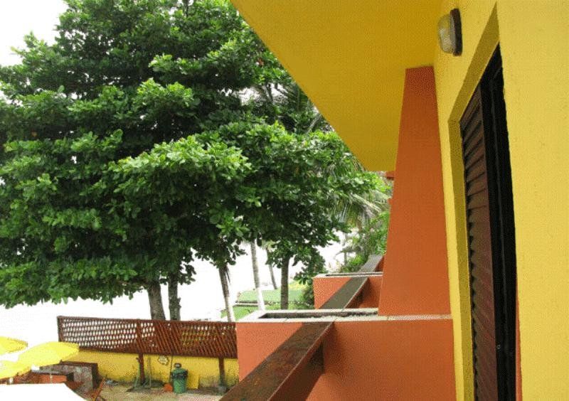 Outdoor Pictures 18