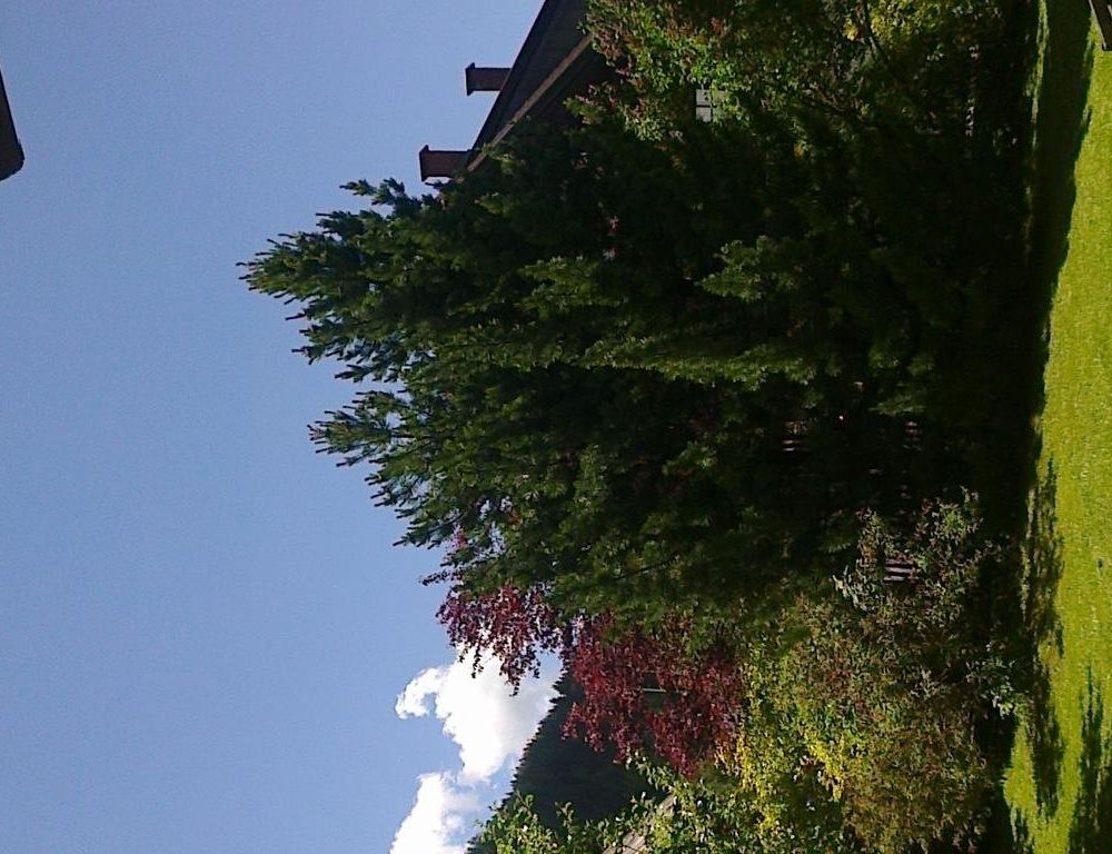 Outdoor Pictures 9