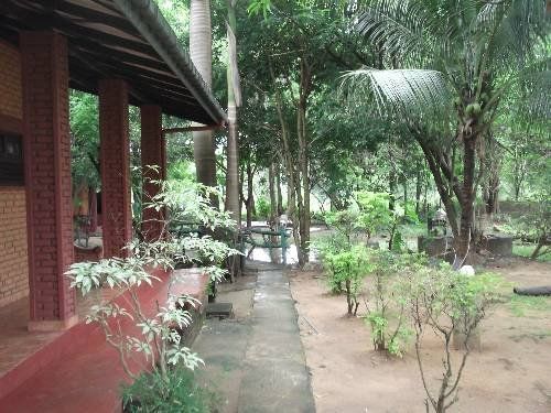 Outdoor Pictures 15